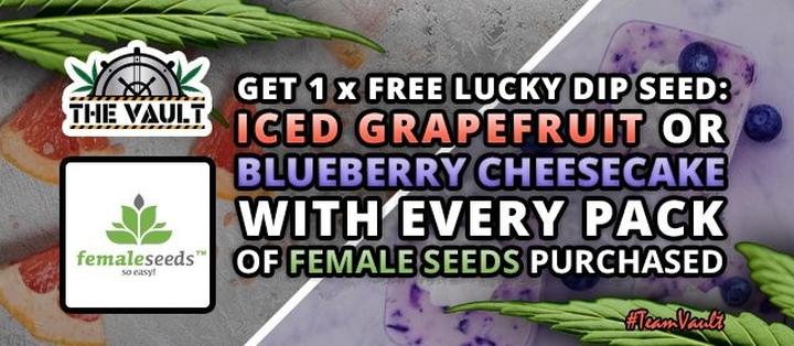 the vault free female seeds