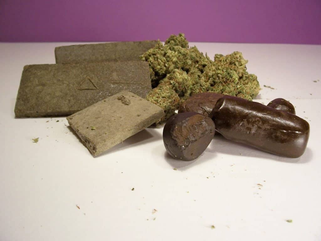 Hashish: What it is, how to use it and what types – Blog Mapa da Maronha