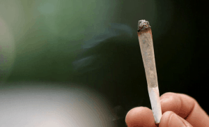Marijuana cigarette