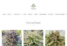 ventura seed company review