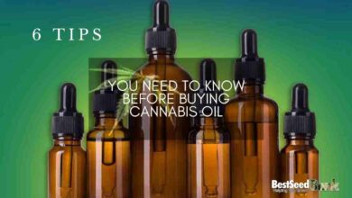 Six Tips You Need to Know Before Buying Cannabis Oil