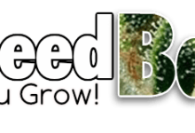 best seed bank