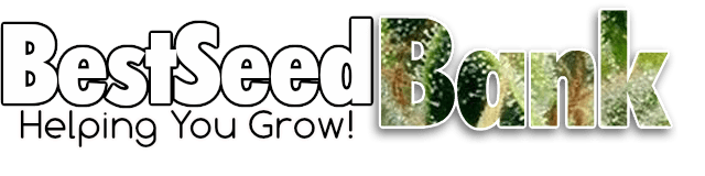 best seed bank