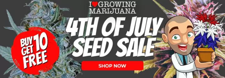ILGM 4th of july sale
