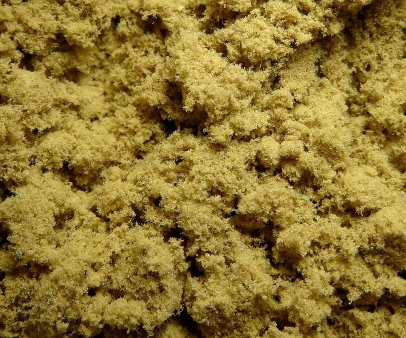 Hashish 73 microns up close-only trichomes!