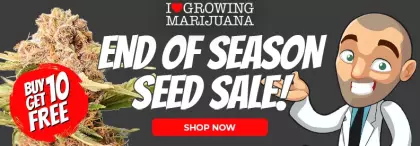 ILGM end of season seed sale