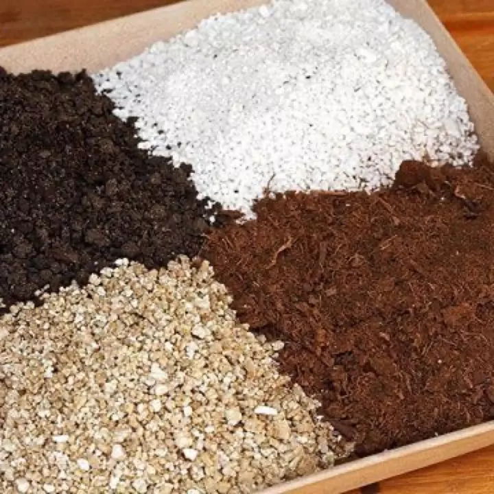 The best soil to germinate seeds mix of perlite, vermiculite, and coco coir.