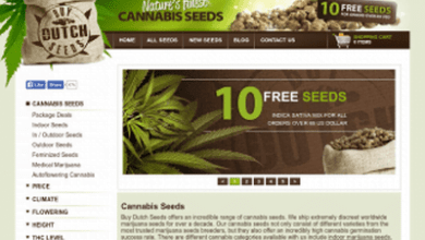 Buy Dutch Seeds Review