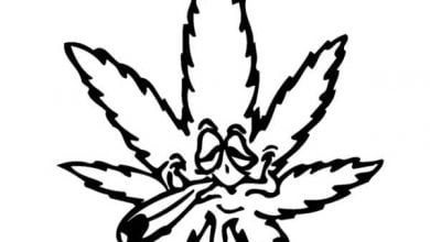 cannabis plant stress