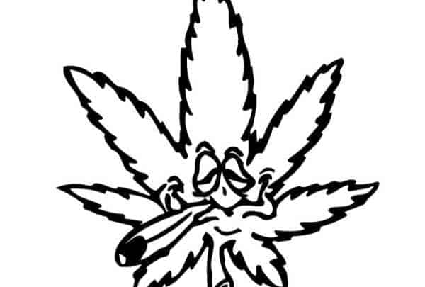 cannabis plant stress