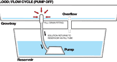 Ebb and Flow System (aka Flood and Drain)