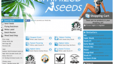 feminized seeds review