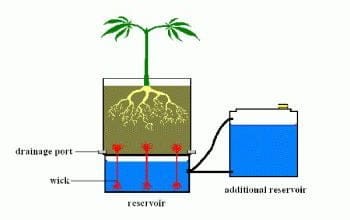 passive hydroponics