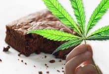 marijuana brownies